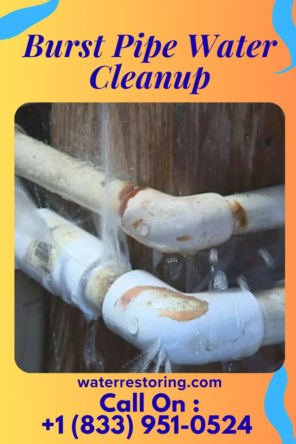 Burst Pipe Water Cleanup in South Shore, KY