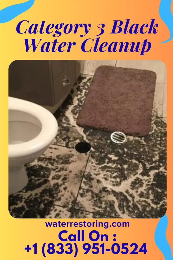 Category 3 Black Water Cleanup in South Shore, KY
