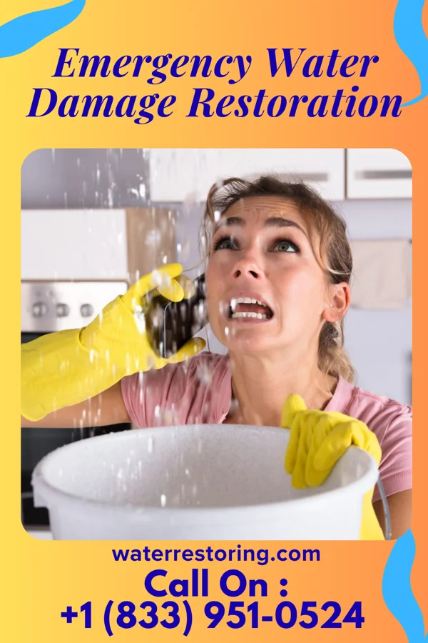 Emergency Water Damage Restoration in South Shore, KY