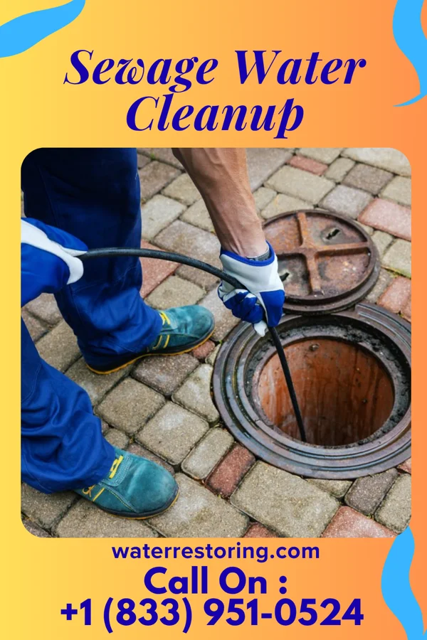 Sewage Water Cleanup in South Shore, KY